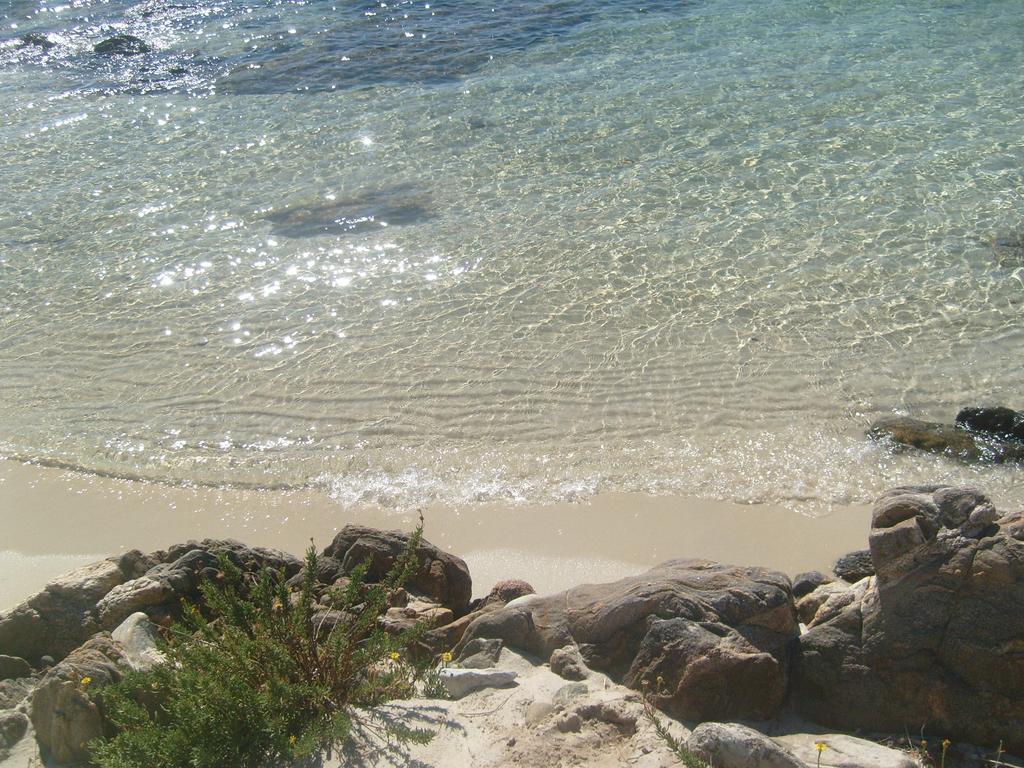 גולפו אראנצ'י Residence Spiaggia Bianca מראה חיצוני תמונה